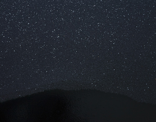 Microcosmos